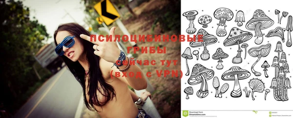 мяу мяу мука Абдулино