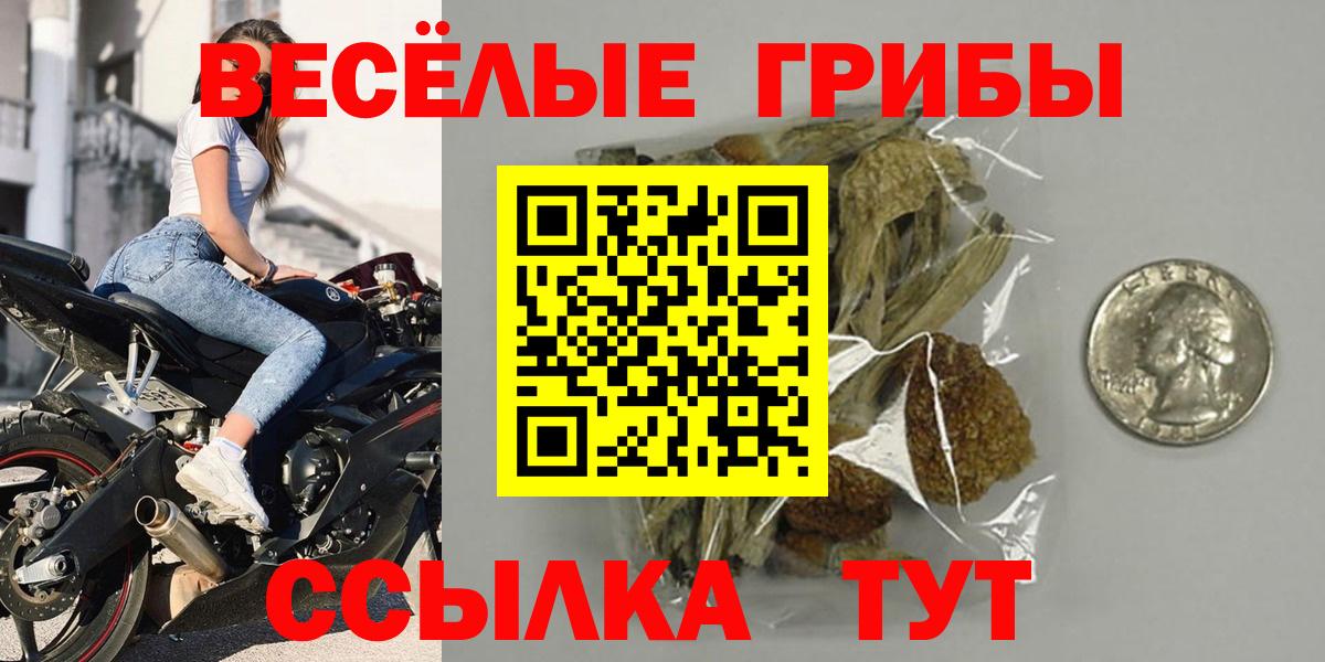 Галлюциногенные грибы прущие грибы  Псилоцибиновые грибы ЛСД  купить наркотики сайты  Вход с VPN  Дивногорск 