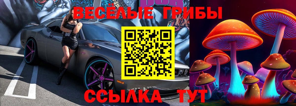 ГАШ  Вход с VPN  Конопля  Дивногорск  Меф  
